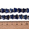 Dyed Natural Lapis Lazuli Beads Strands G-N371-10A-02-5