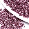 FGB 11/0 Grade A Glass Seed Beads SEED-S030-1203-1