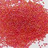 12/0 Round Glass Seed Beads SEED-J011-F12-165B-2