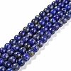 Natural Lapis Lazuli Beads Strands G-S333-8mm-013-1