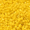 Opaque Glass Seed Beads SEED-S042-22B-02-3