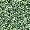 TOHO Round Seed Beads SEED-TR08-PF0570-2
