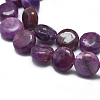 Natural Lepidolite/Purple Mica Stone Beads Strands G-F626-04-2