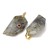 Natural Mixed Stone Pendants GG-CBA51ED-04G-4