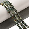 Natural African Turquoise(Jasper) Beads Strands G-N342-83-2