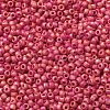 TOHO 11/0 Round Beads X-SEED-TR11-0405F-2