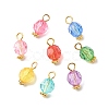 Transparent Acrylic Pendants PALLOY-JF01834-09-1