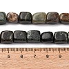 Natural Biotite Beads Strands G-B155-D05-5