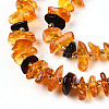 Natural Amber Beads Strands G-T138-237-3