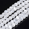 Natural Selenite Beads Strands G-S366-027A-1