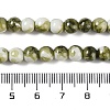 Baking Paint Glass Bead Strands GLAA-H031-01A-14-5