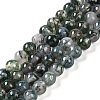 Natural Moss Agate Bead Strands G-J358-01-6mm-1