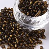 8/0 Glass Seed Beads X-SEED-A005-3mm-53-1