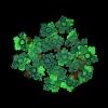 Luminous Transparent Resin Decoden Cabochons RESI-D013-06D-2