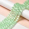 Natural Selenite Beads Strands G-P493-01H-2