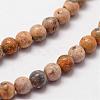 Natural Leopard Skin Jasper Beads Strands G-N0187-02-2mm-3