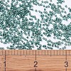 MIYUKI Delica Beads SEED-X0054-DB0607-4