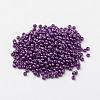 11/0 Grade A Baking Paint Glass Seed Beads X-SEED-N001-A-1056-3