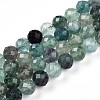 Natural Fluorite Beads Strands G-T140-19C-1