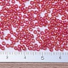 MIYUKI Round Rocailles Beads X-SEED-G007-RR0141FR-4