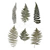 6Pcs Plant PET Adhesive Waterproof Stickers DIY-K074-01E-1