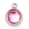 304 Stainless Steel Charms X-STAS-I165-04B-P-2