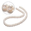 Natural Cultured Freshwater Pearl Beads Strands PEAR-R063-16-1