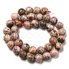 Natural Rhodonite Beads Strands G-R494-A12-04-2