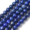 Natural Lapis Lazuli Beads Strands G-K366-G03-6mm-2