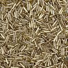 Plated Glass Bugle Beads SEED-S046-01B-22-3