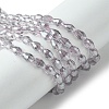 Transparent Electroplate Glass Beads Strands GLAA-K064-04A-PL01-1