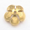 Brass Caps X-KK-E674-05G-2