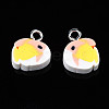 Handmade Polymer Clay Charms CLAY-S096-025-2