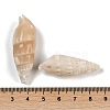 Natural Spiral Shell Beads SHEL-K009-17B-3