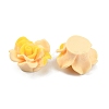 Smudged Color Frosted Resin Cabochons RESI-TAC0018-13F-2