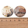 2-Hole Natural Akoya Shell Buttons SH-CBA1323-01B-2