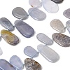Natural Blue Chalcedony Beads Strands G-NH0075-A01-01-1