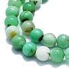 Natural Chrysoprase Beads Strands G-K245-A12-05-3