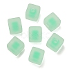 Frosted Acrylic European Beads OACR-G012-14B-1