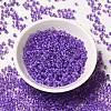 6/0 Transparent Glass Seed Beads SEED-F003-03A-09-2