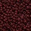 TOHO 6/0 Round Beads SEED-TR06-0046F-4