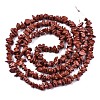 Natural Howlite Chip Beads Strands G-M205-27A-2