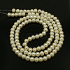 Glass Pearl Beads Strands X-HY-3D-B02-2