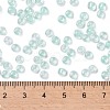 6/0 Glass Seed Beads SEED-A015-4mm-2213-4