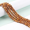 Natural Maifanite/Maifan Stone Beads Strands G-P451-01B-C-2