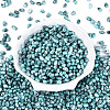 Picasso Glass Seed Beads SEED-N012-10H-2