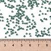 TOHO 11/0 Round Beads X-SEED-TR11-0118-4
