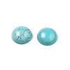 Craft Findings Dyed Synthetic Turquoise Gemstone Flat Back Dome Cabochons TURQ-S266-6mm-01-2