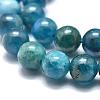 Natural Apatite Beads Strands G-O186-E02-6mm-2