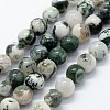 Natural Tree Agate Beads Strands X-G-I199-03-8mm-1